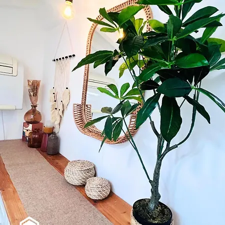 Little Nest - Old Town - Ac - Wifi Appartement Nice